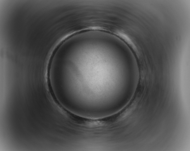 X0000089431331200706151302