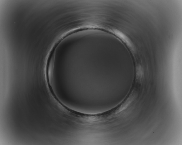 X0000089431334200706151302