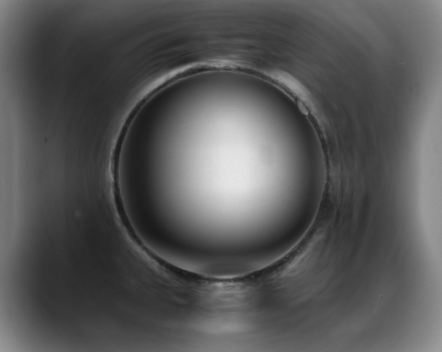 X0000089431335200706151302