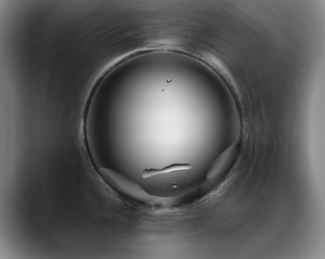 X0000089431336200706151302