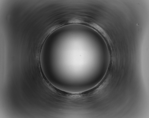 X0000089431337200706151302