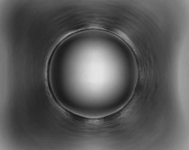 X0000089431339200706151302