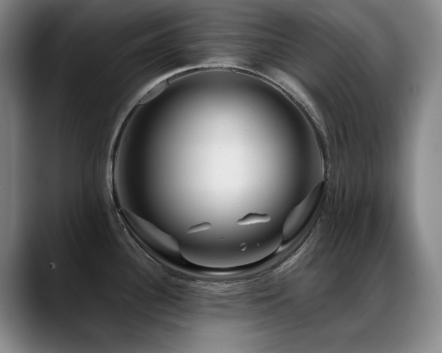 X0000089431340200706151302