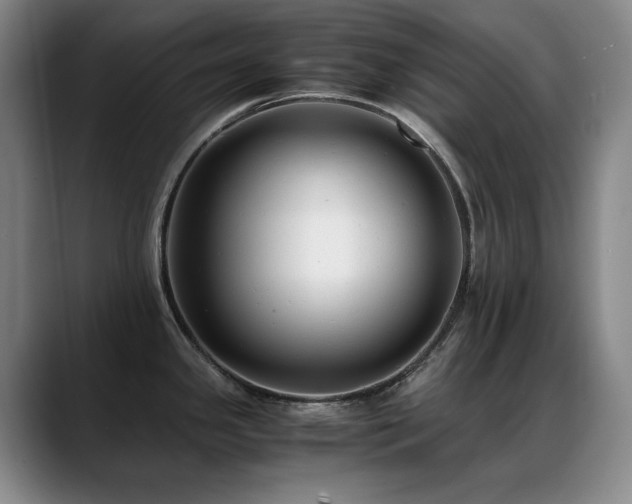X0000089431341200706151302