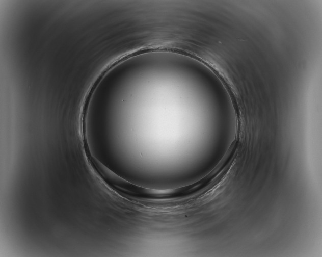 X0000089431342200706151302