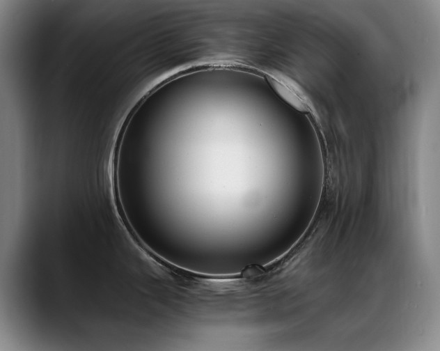 X0000089431343200706151302