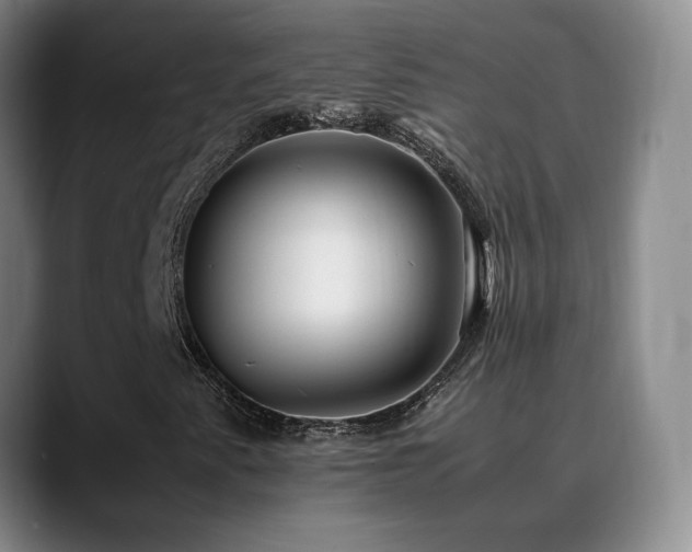 X0000089431345200706151301