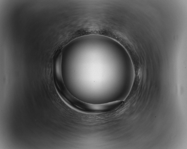 X0000089431348200706151301