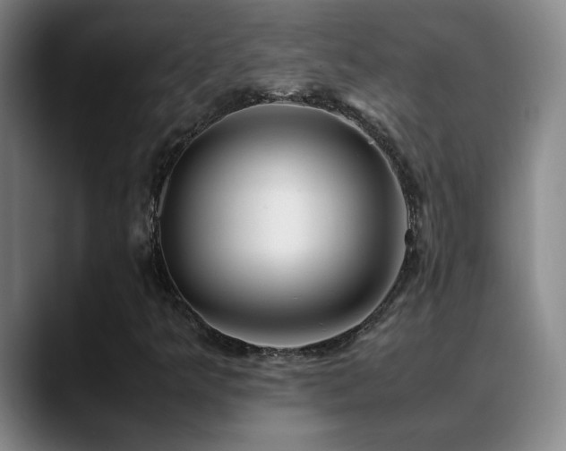 X0000089431349200706151301
