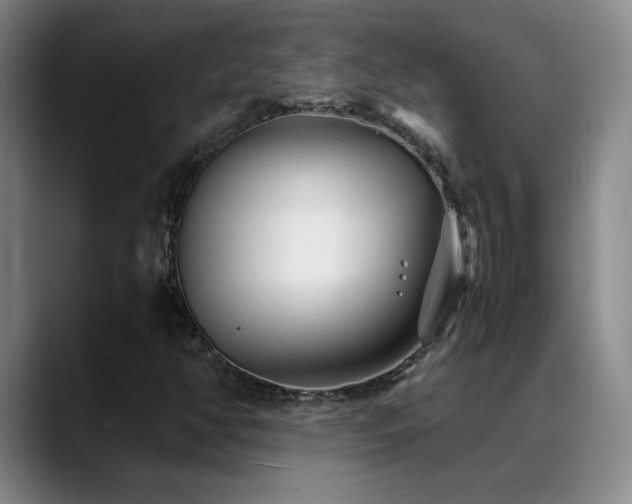 X0000089431350200706151301