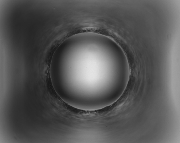 X0000089431351200706151301