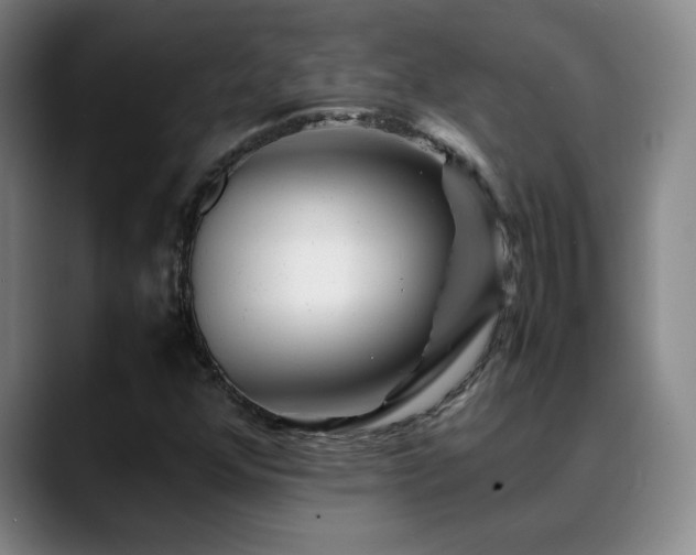 X0000089431352200706151301