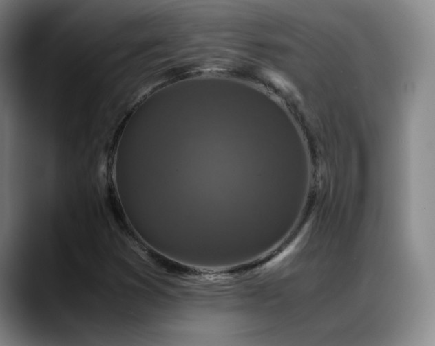 X0000089431353200706151301