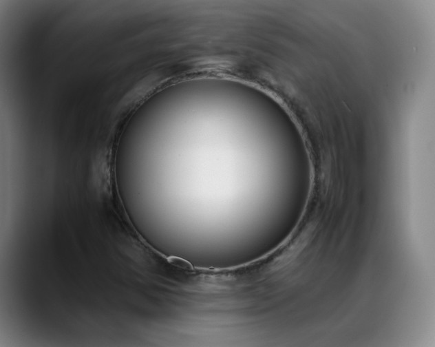X0000089431354200706151301