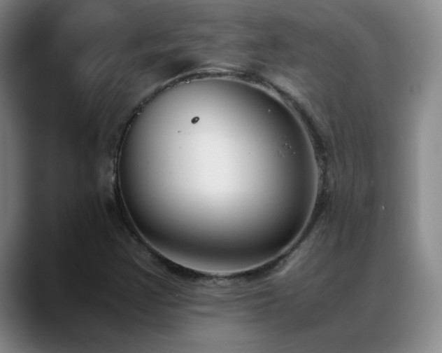 X0000089431355200706151301