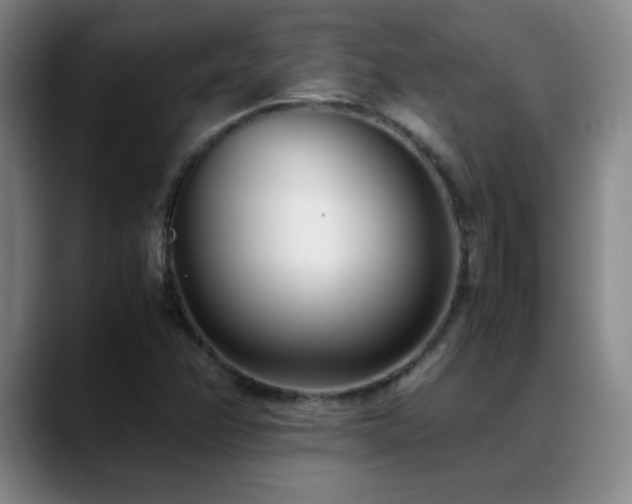 X0000089431358200706151301