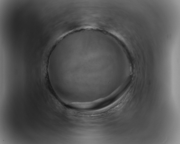 X0000089431359200706151301