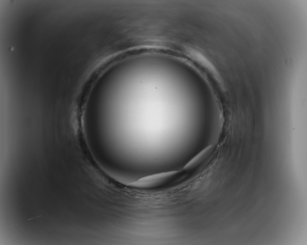 X0000089431360200706151301