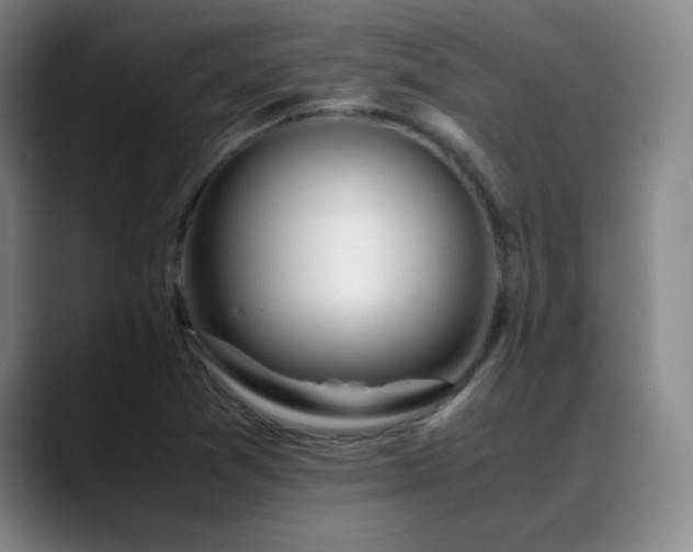 X0000089431361200706151301
