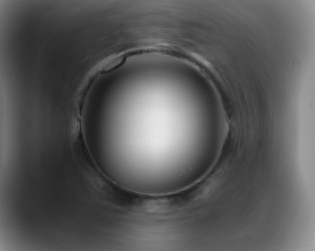 X0000089431363200706151301