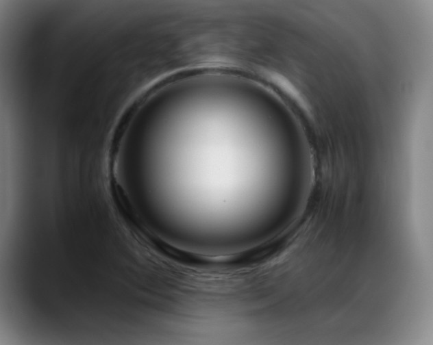X0000089431364200706151301
