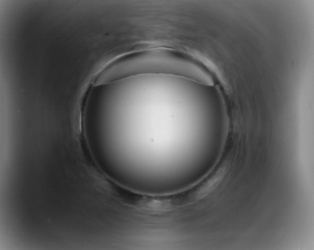 X0000089431365200706151301