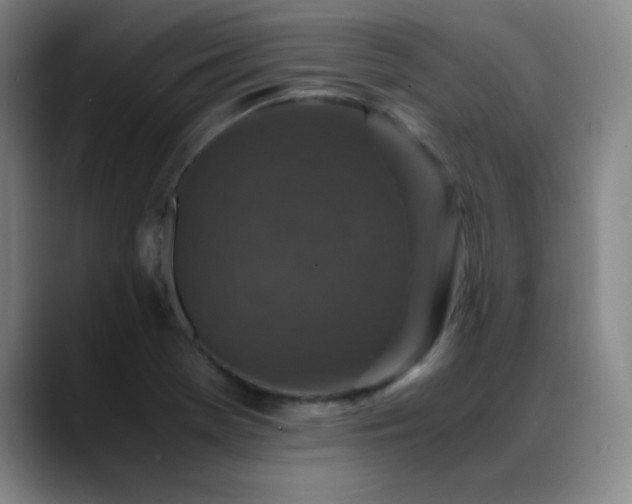 X0000089431369200706151301