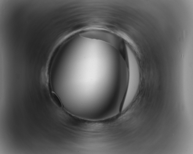 X0000089431372200706151301