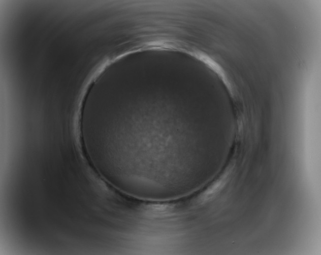X0000089431373200706151301