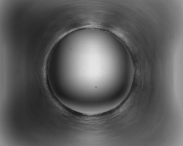 X0000089431375200706151301