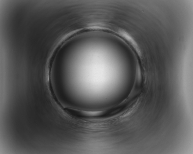 X0000089431376200706151301