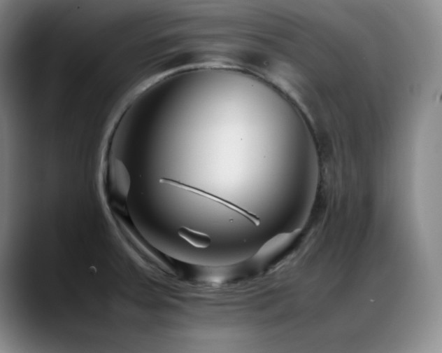 X0000089431379200706151301