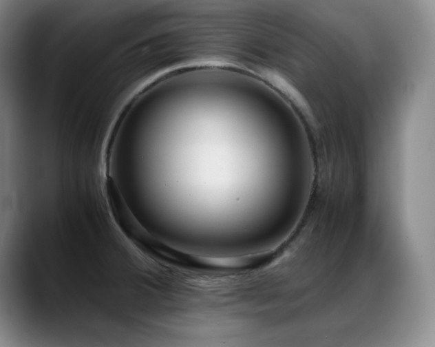 X0000089431380200706151301