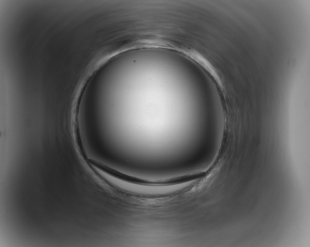 X0000089431381200706151301