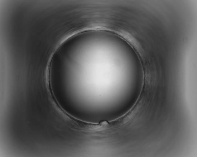 X0000089431382200706151301
