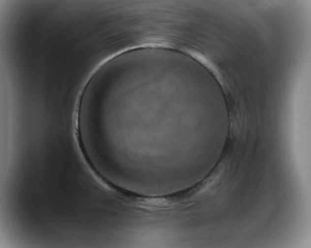 X0000089431383200706151301