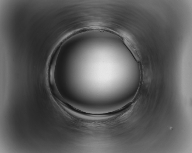 X0000089431384200706151301