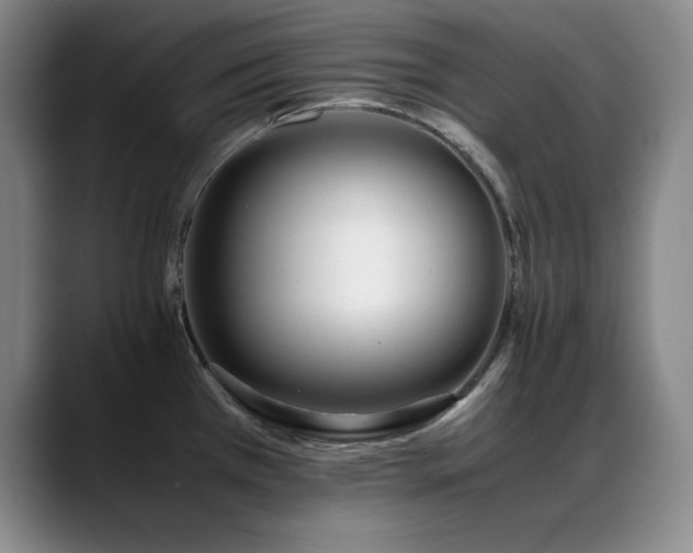 X0000089431385200706151301