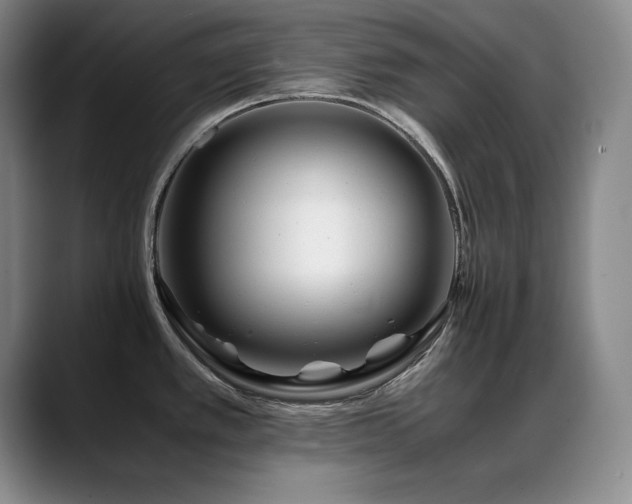 X0000089431389200706151301