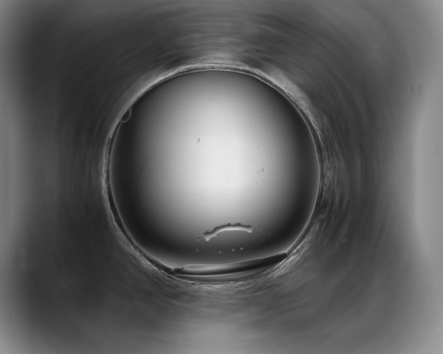 X0000089431390200706151301