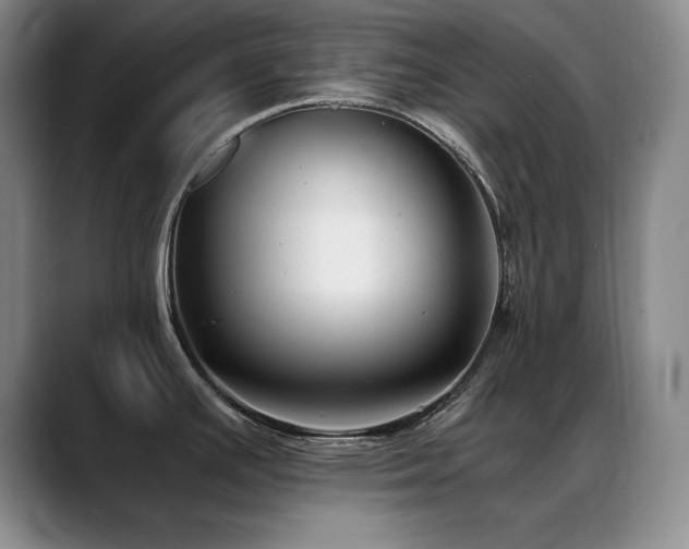 X0000089431391200706151301