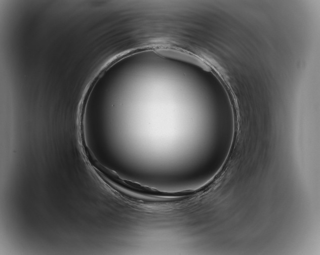 X0000089431392200706151301
