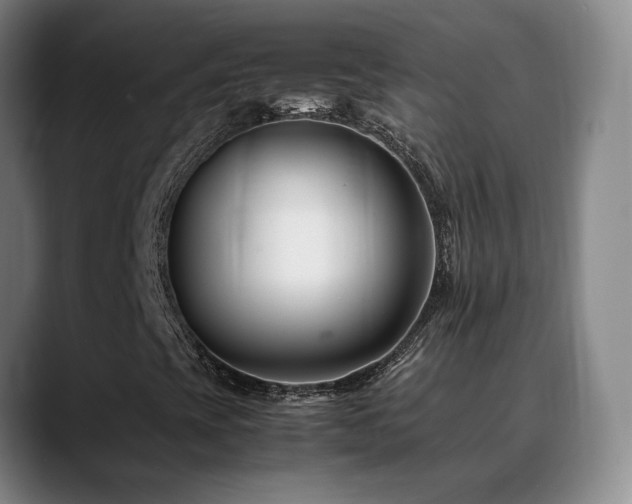 X0000089431393200706151300