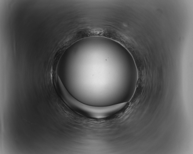 X0000089431394200706151300