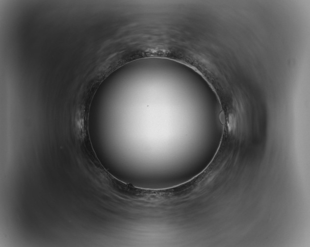 X0000089431396200706151300