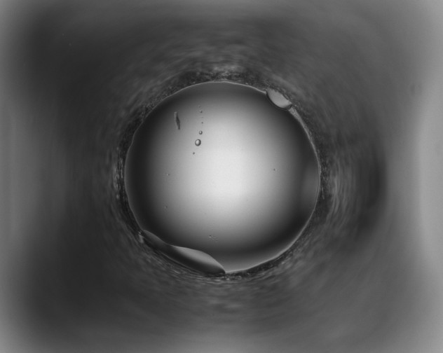 X0000089431397200706151300