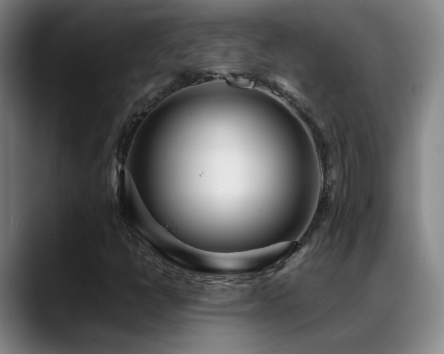 X0000089431398200706151300