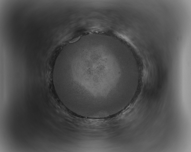X0000089431399200706151300