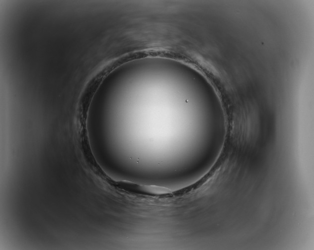 X0000089431400200706151300