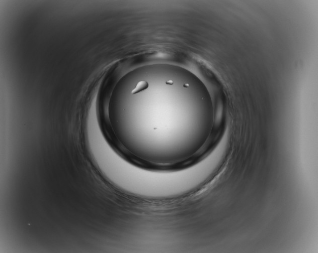 X0000089431402200706151300